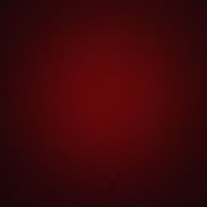 Meet your Posher, Joey